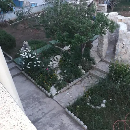 Ap Melkior * פובליאנה
